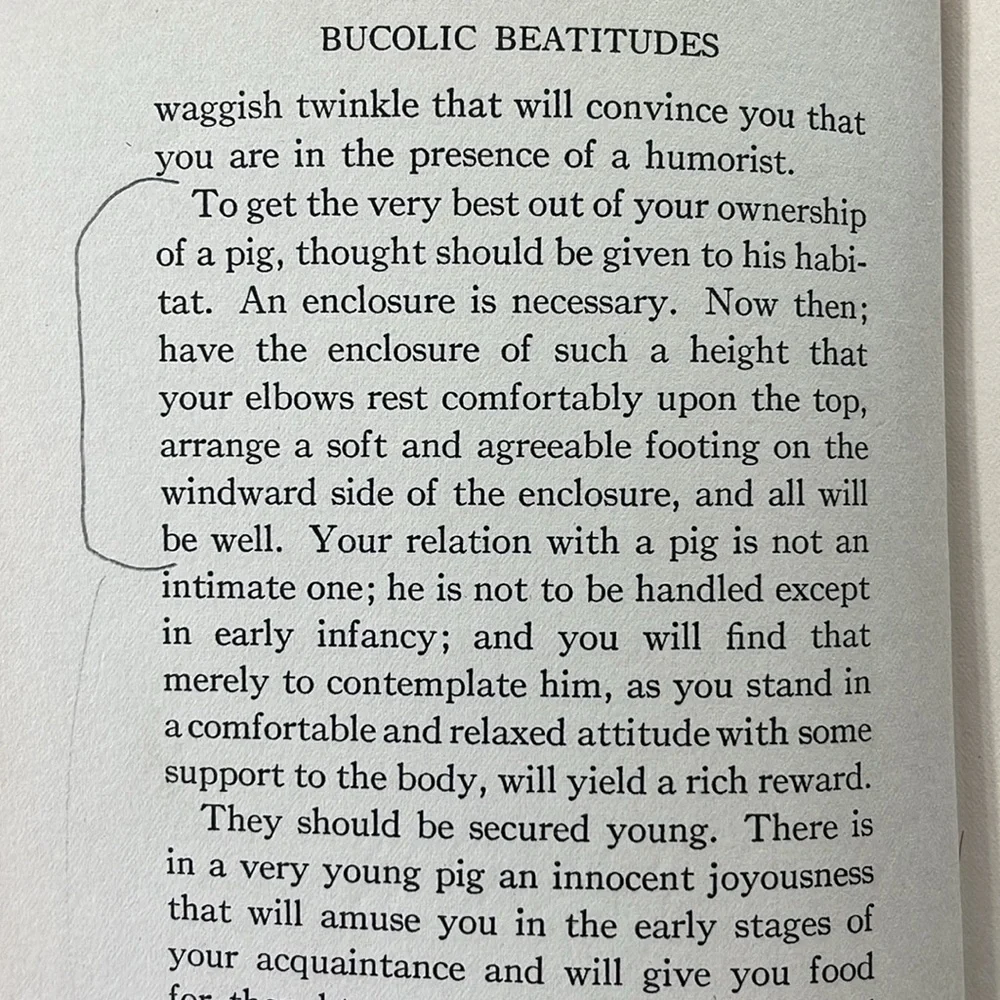 Bucolic Beatitudes by Rusticus, Illustrated by Decie Merwin, Little Brown 1927